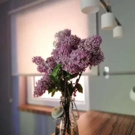 Gasthuis Nest Belgrado