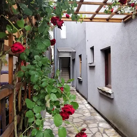 Pensionat Nest Belgrad