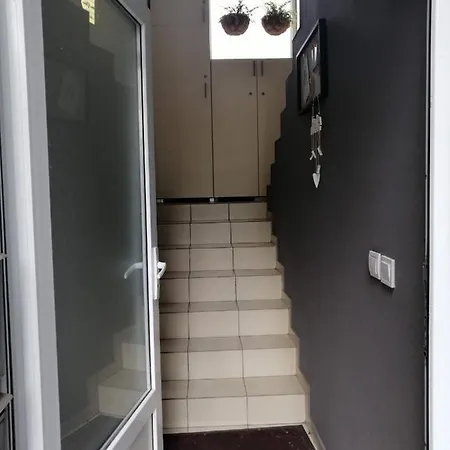 Pensionat Nest Belgrad