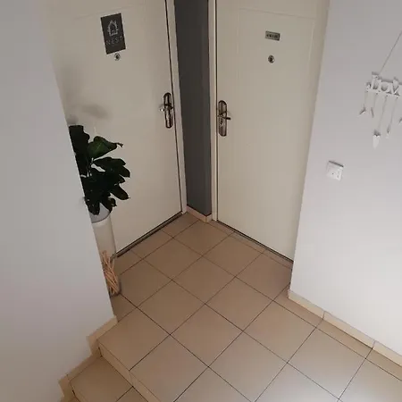 Nest 招待所 *