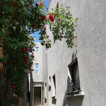 Gasthuis Nest Belgrado